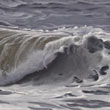 North Sea wave IV   |   2020 | oil on canvas | 20 x 45 cm
