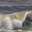 North Sea wave   |   2018 | oil on canvas | 20 x 40 cm